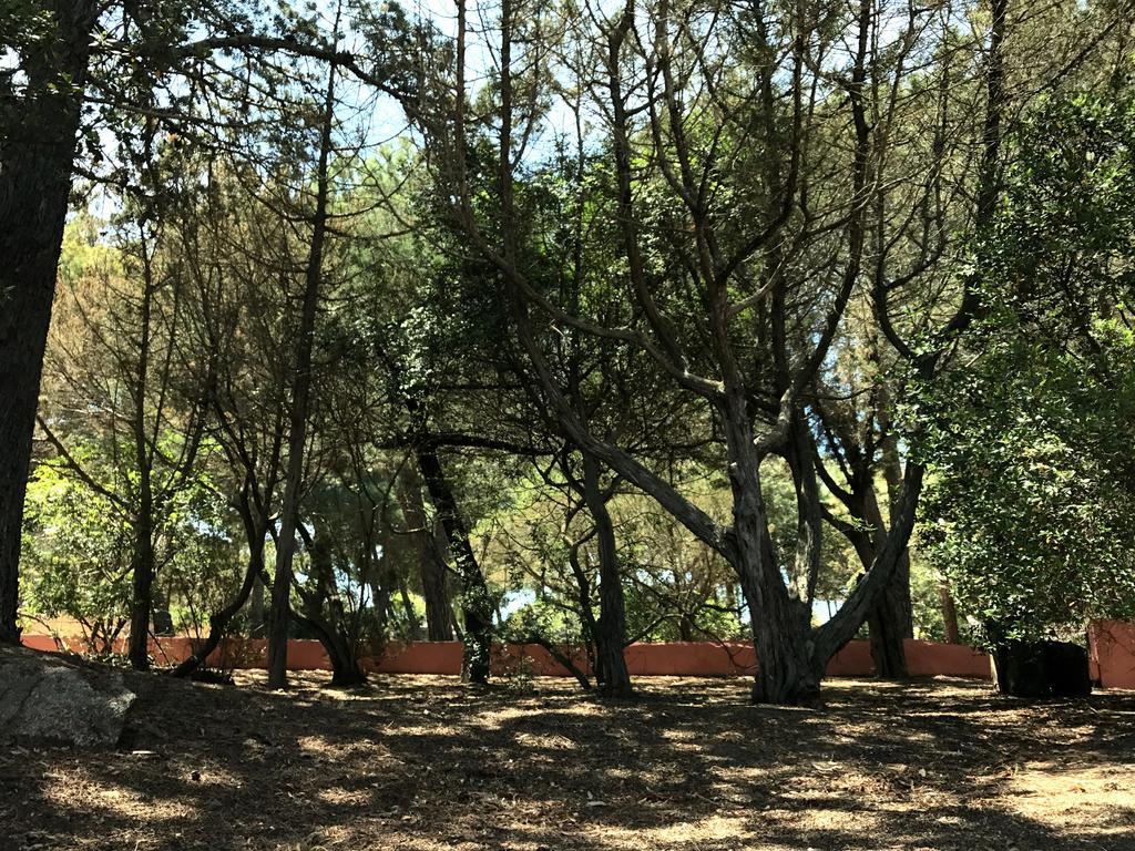 Villa Mica La Maddalena  Dış mekan fotoğraf