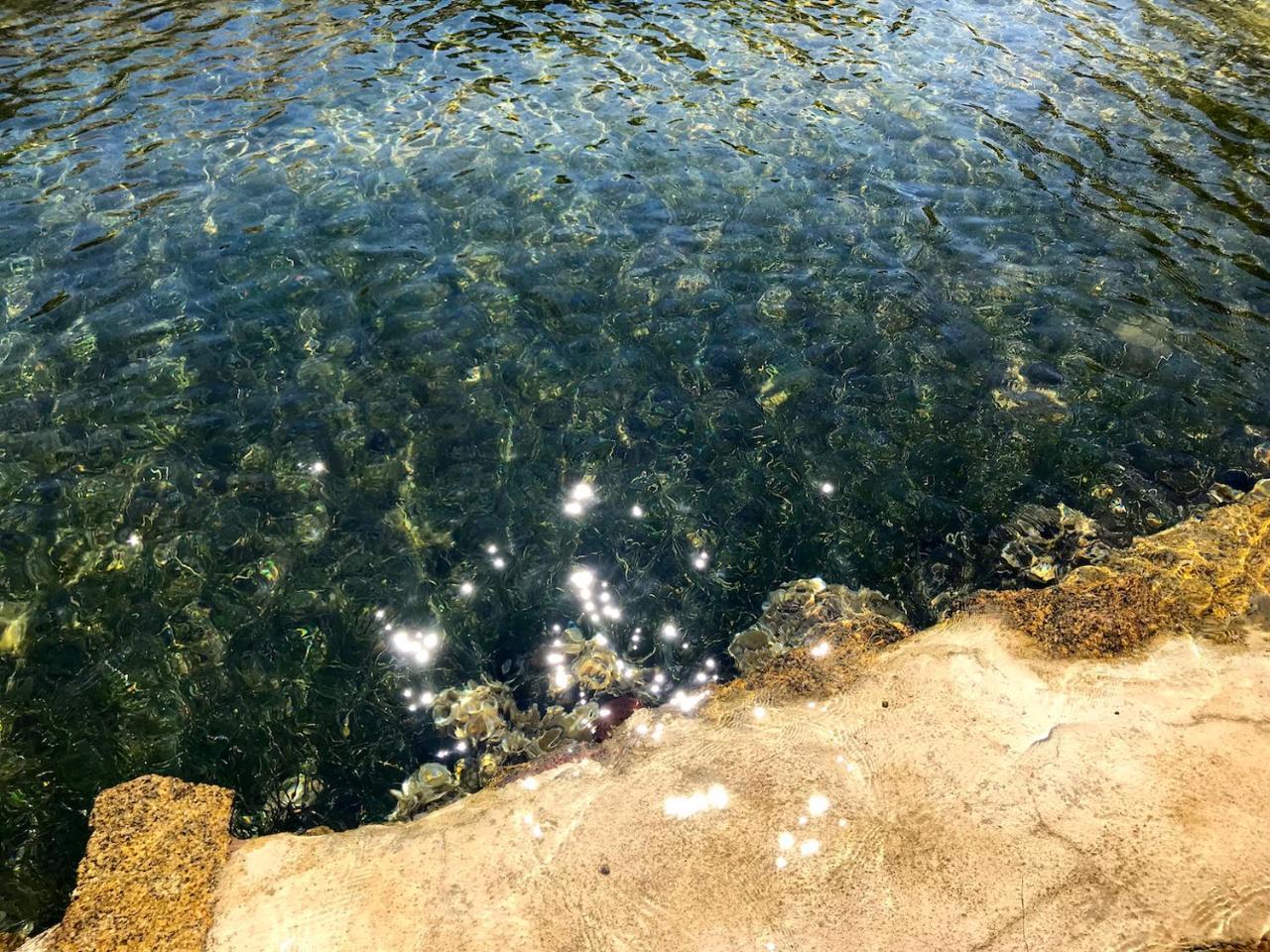 Villa Mica La Maddalena  Dış mekan fotoğraf